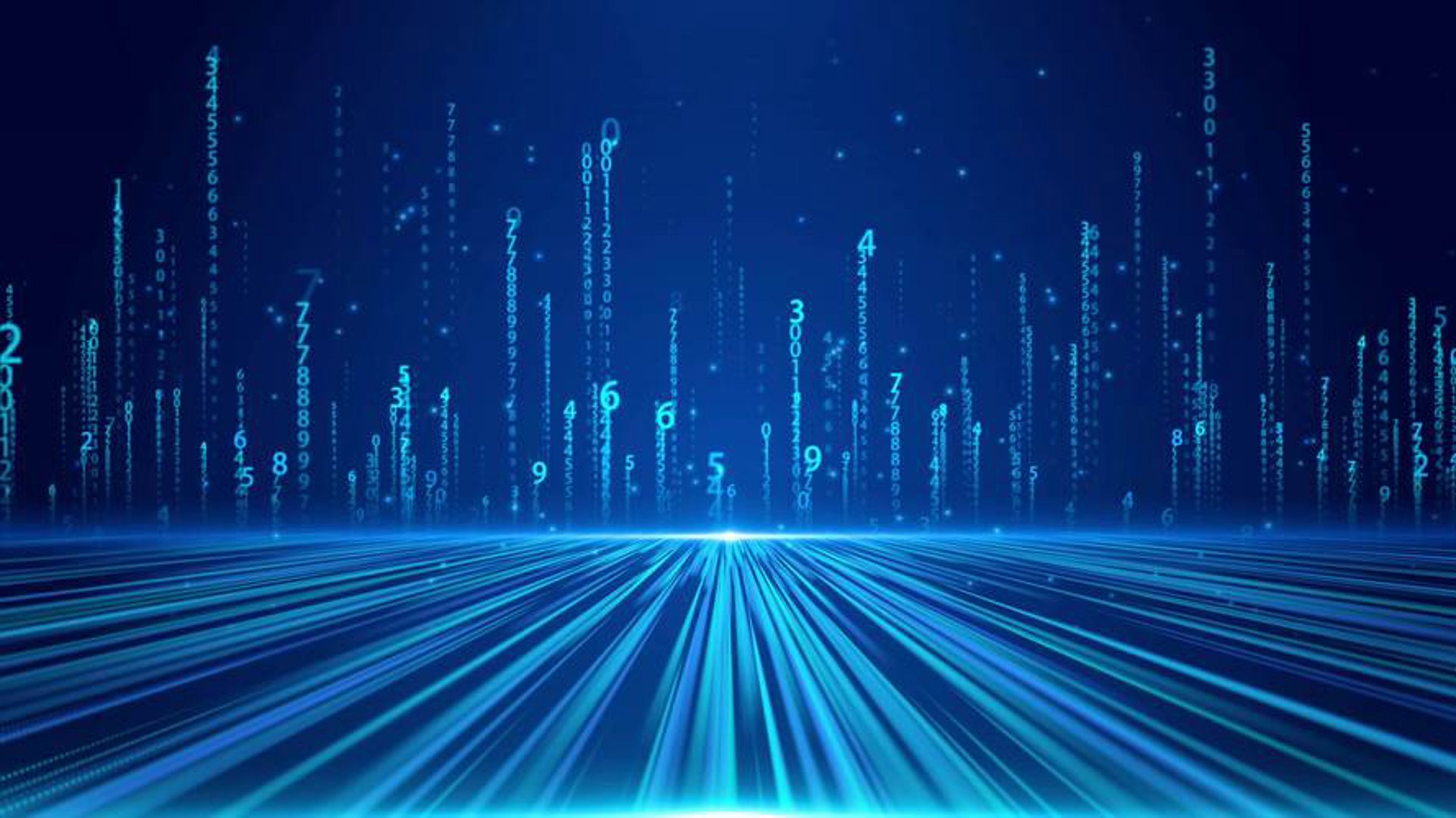 璟娉锶网络